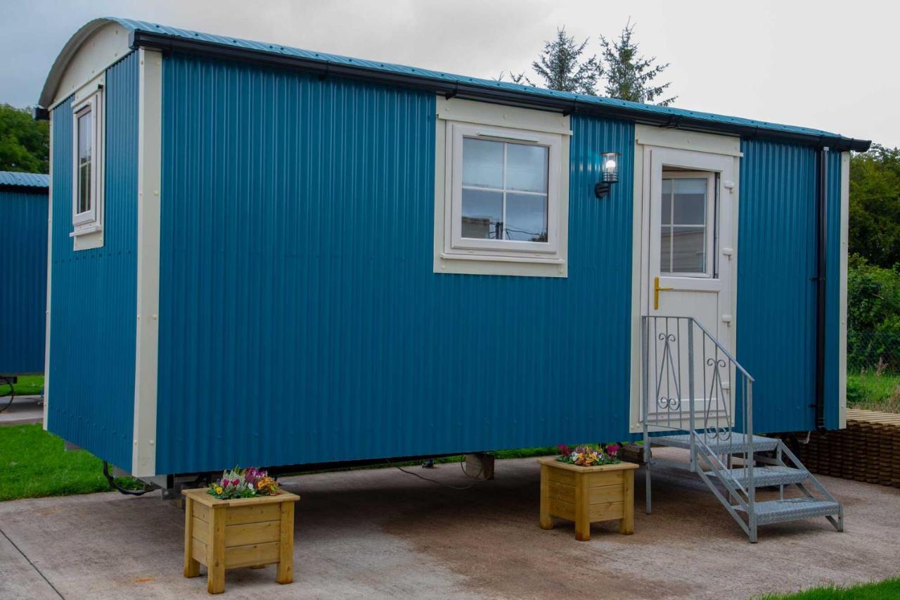 Shepherd Hut Bird Enniskillen, Fermanagh Kültér fotó